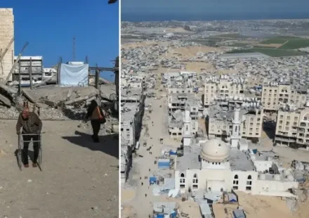 filistin israil iki yil icinde gazzedeki tarim kapasitesinin yuzde 90inini yok etti SKwM9bkH.webp