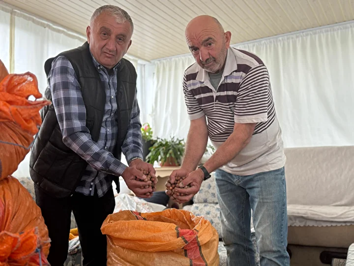 fiyatin yukselmesini bekleyen uretici findigini meskeninde bekletiyor 5 7FadVvsc