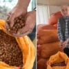 fiyatin yukselmesini bekleyen uretici findigini meskeninde bekletiyor Fe6IDYrg.webp