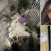 Lübnan’dan son dakika İsrail kararı! Başbakan resmen talimat verdi genc kizin feci mevti asansor kazasinda beton tartinin dusmesi vefata neden olmus l95elNch.webp