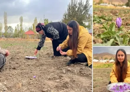 hakkaride birinci defa ekildi kilosu 600 bin tlyi buluyor iBZ6Fyui.webp
