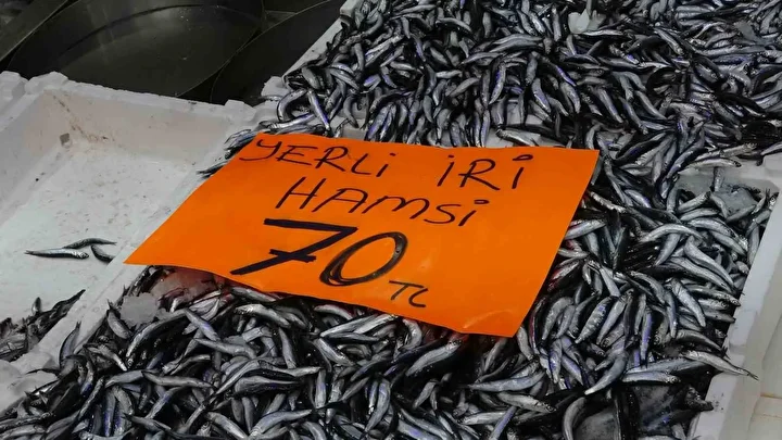 Hamsi 70 liraya düştü: Vatandaş sevinçten çiğ yedi 4 hamsi 70 liraya dustu vatandas sevincten cig yedi 3 D4YEsO53