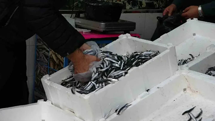 Hamsi 70 liraya düştü: Vatandaş sevinçten çiğ yedi 5 hamsi 70 liraya dustu vatandas sevincten cig yedi 4 WHMZqCii