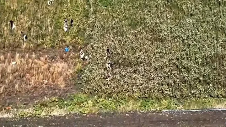 Hatay’da 89 kilo 200 gram esrar ve bin 876 kök kenevir ele geçirildi: Üç kişi tutuklandı 1 hatayda 89 kilo 200 gram esrar ve bin 876 kok kenevir ele gecirildi uc BfmCc5hF