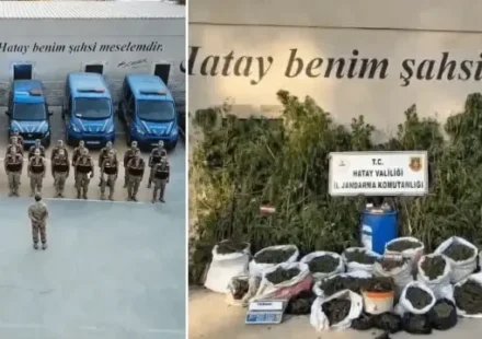 hatayda 89 kilo 200 gram esrar ve bin 876 kok kenevir ele gecirildi uc QckfBPOL.webp