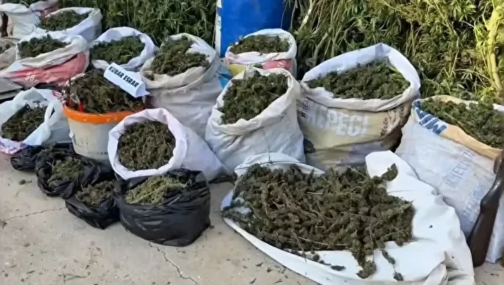 Hatay’da 89 kilo 200 gram esrar ve bin 876 kök kenevir ele geçirildi: Üç kişi tutuklandı 7 hatayda 89 kilo 200 gram esrar ve bin 876 kok kenevir ele gecirildi uc WMQKfmiG