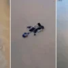 hatayda can pazari suyla dolu alt gecitte vefatla burun buruna gelen engelli yasli bayani cMpqSwKE.webp