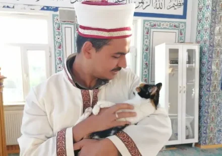 Hayvan sevgisiyle gönülleri kazandı: İmam kedileri leğende yıkayıp mescitte bakıyor hayvan sevgisiyle gonulleri kazandi imam kedileri legende yikayip mescitte bakiyor Cmzbg1f7.webp