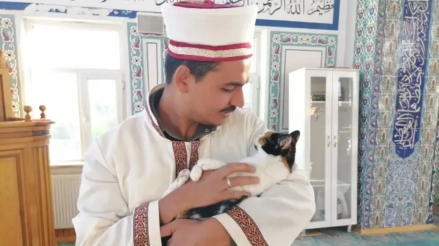 hayvan sevgisiyle gonulleri kazandi imam kedileri legende yikayip mescitte bakiyor Cmzbg1f7.webp