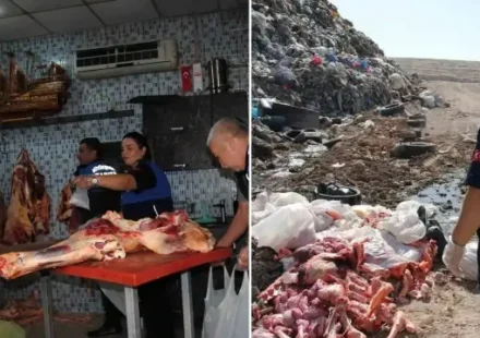 Hepsini vatandaşa yedireceklerdi: Şanlıurfa’da restoranlarda pişirilmek üzere hazırlanmış 1 ton kokmuş et ele geçirildi hepsini vatandasa yedireceklerdi sanliurfada restoranlarda pisirilmek uzere hazirlanmis 1 ton kokmus et ele gecirildi PWXKdLUH.webp