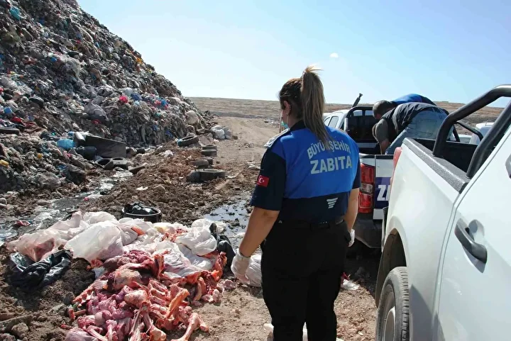 hepsini vatandasa yedireceklerdi sanliurfada restoranlarda pisirilmek uzere hazirlanmis 1 ton kokmus et ele gecirildi hVvqS9eH