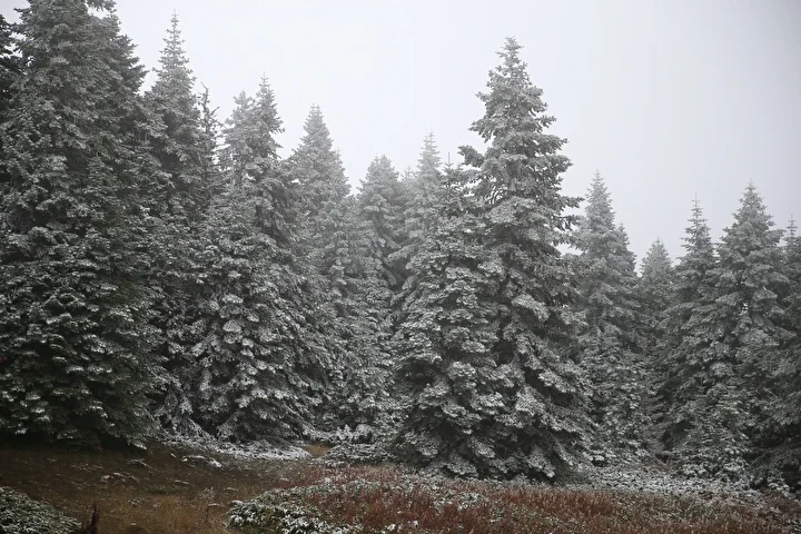 ilgaz daginda kar ve sis tesirli oldu 2 KDvIWC3F