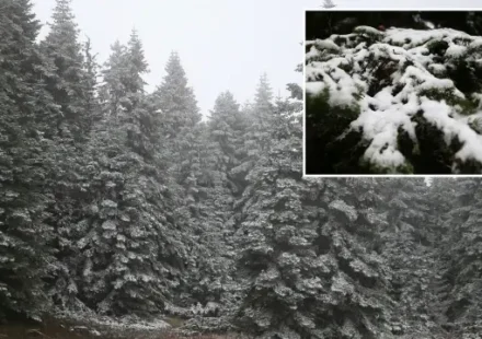 ilgaz daginda kar ve sis tesirli oldu gR3m2YrQ.webp