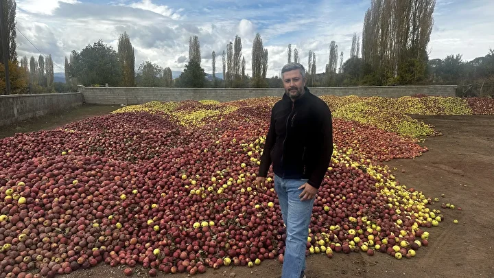 Isparta'da döküntü elmalar meyve suyu olmak için toplanıyor 3 ispartada dokuntu elmalar meyve suyu olmak icin toplaniyor 2 Y9TjQsuO