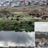 istanbulda siyaha burunen dereden kirlilik akiyor ync7kTfn.webp