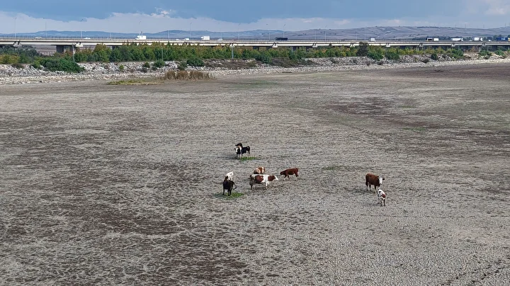 İstanbul'un barajlarında doluluk oranı yüzde 25'in altına düştü 5 istanbulun barajlarinda doluluk orani yuzde 25in altina dustu 4 BnYRK5kT