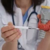 iyot tiroid hormonlarinin uretiminde kritik rol ustleniyor ef8rDe5M.webp