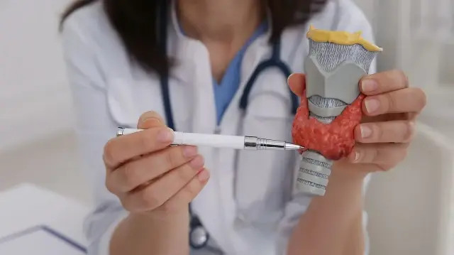 iyot tiroid hormonlarinin uretiminde kritik rol ustleniyor ef8rDe5M.webp