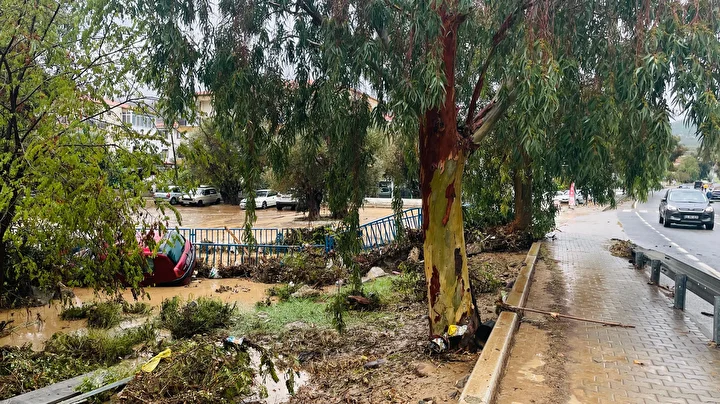 İzmir'in Foça ilçesinde sağanak hayatı olumsuz etkiledi: Dere taştı birtakım iş yerlerini ve konutları su bastı 1 izmirin foca ilcesinde saganak hayati olumsuz etkiledi dere tasti birtakim is yerlerini ve konutlari OGRE52kz