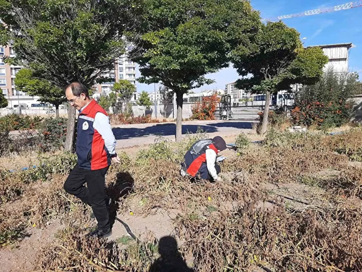 Karadeniz'den sonra Sivas'ta da görüldü: Çiftçilerin kabusu oldu 1 karadenizden sonra sivasta da goruldu ciftcilerin kabusu oldu 0 J3wkDR6l