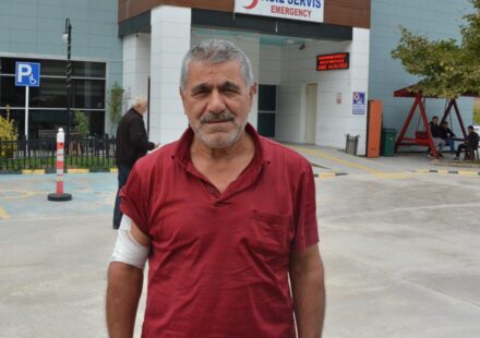 Kastamonu’da ayı saldırısı! Kaçarken yamaçtan düştü kastamonuda ayi saldirisi kacarken yamactan dustu 37QuQEVF.jpg