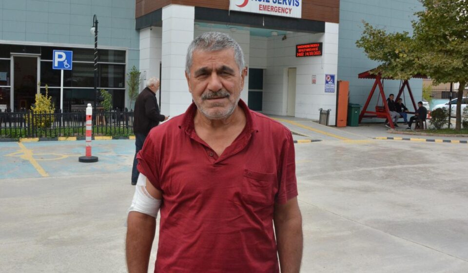 Kastamonu’da ayı saldırısı! Kaçarken yamaçtan düştü kastamonuda ayi saldirisi kacarken yamactan dustu 37QuQEVF.jpg
