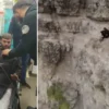 Bakan Yerlikaya paylaştı: Bu imajlar bize yakışmıyor kayaliklarda mahsur kalan sahis afad gruplarinca kurtarildi QVND33p4.webp