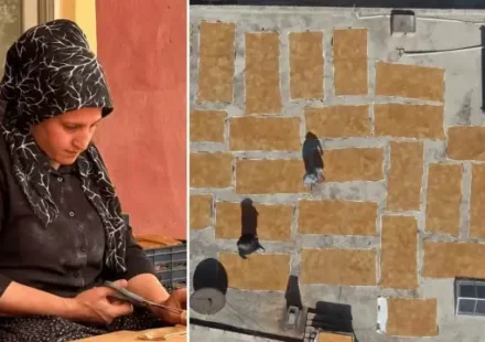 Kilosu altınla yarışıyor, yurt dışından talep yağıyor: Gaziantep’te bayanların hummalı mesaisi başladı kilosu altinla yarisiyor yurt disindan talep yagiyor gaziantepte bayanlarin hummali mesaisi basladi uTI7SMUc.webp