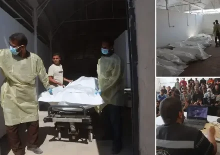 Kızılhaç takımları İsrail’in Gazze’den alıkoyduğu Filistinlilerin naaşlarını Nasır Hastanesi’ne ulaştırdı kizilhac takimlari israilin gazzeden alikoydugu filistinlilerin naaslarini nasir hastanesine ulastirdi n5SfwT5r.webp
