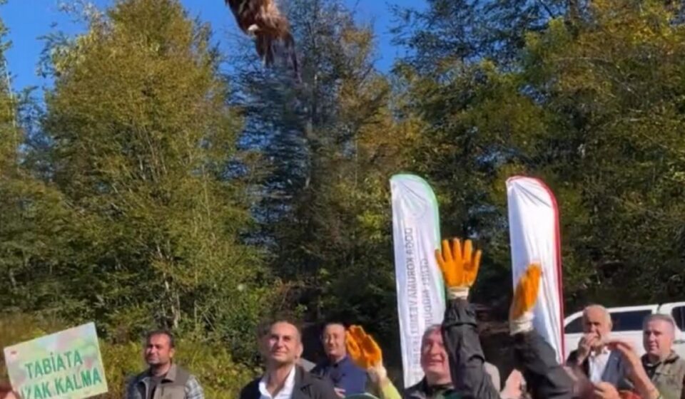 kokarca istilasina karsi sulun kuslari tabiata salindi MqNZipe6.jpg