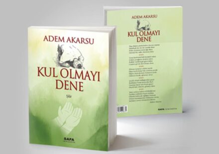 kul olmayi dene adem akarsu AmVuUfnQ.jpg
