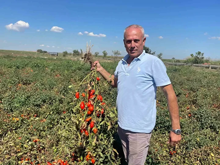 londrada kazandi bursada yatirim yapti lisan ogrenmek icin gitti fast food zinciri kurdu 2