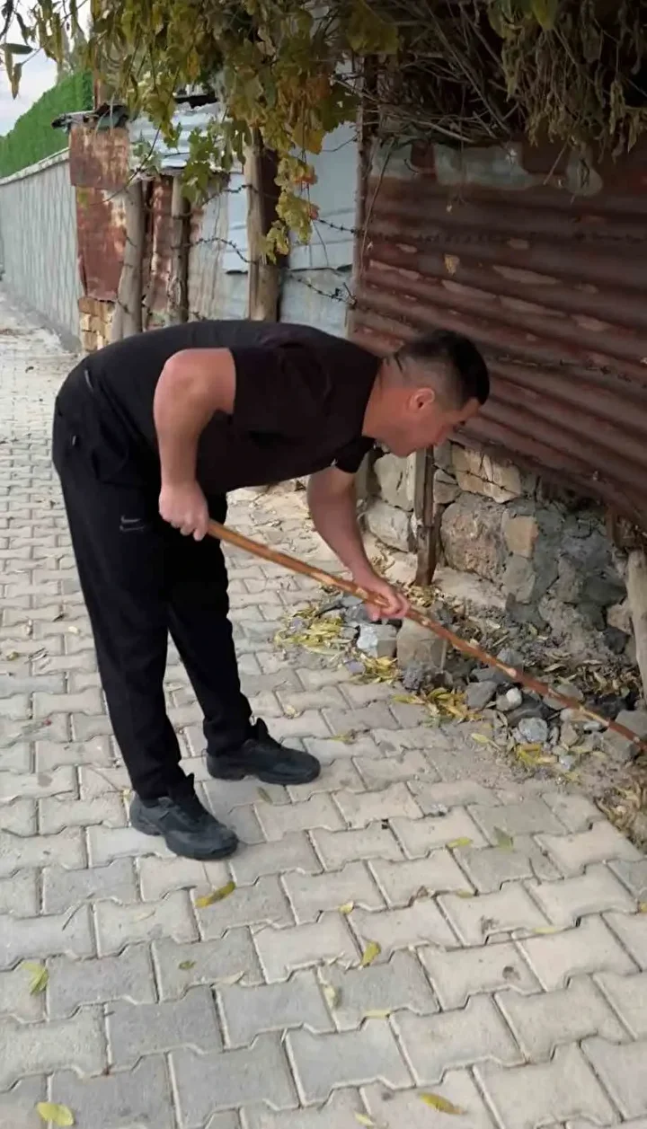 mahalleli 3 gun nobet tuttu bir vilayette yilan panigi oldurmedik yasama hakki var 5 mlA14uAS