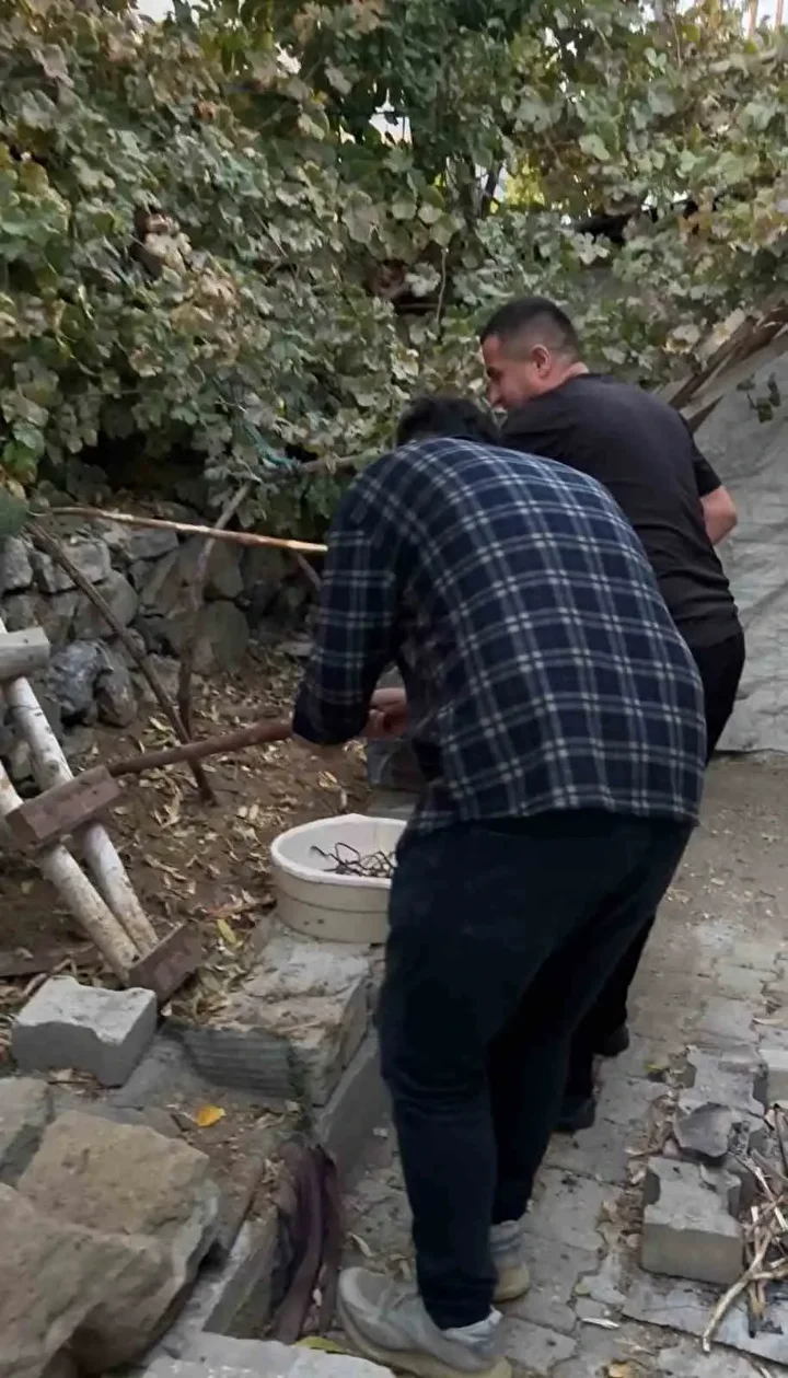 mahalleli 3 gun nobet tuttu bir vilayette yilan panigi oldurmedik yasama hakki var 6