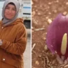 Honor Magic 8 serisi tanıtıldı! İşte çok konuşulacak özellikler… mantar toplarken zehirli bir cesidi fark etti dunya tarihine gecti bitkiye kesfedenen bayanin ismi PXVwJPpc.webp