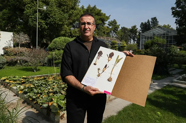 Mantar toplarken zehirli bir çeşidi fark etti dünya tarihine geçti: Bitkiye keşfedenen bayanın ismi verildi 'gulsenianum' 3 mantar toplarken zehirli bir cesidi fark etti dunya tarihine gecti bitkiye kesfedenen bayanin ismi a3ArItHG