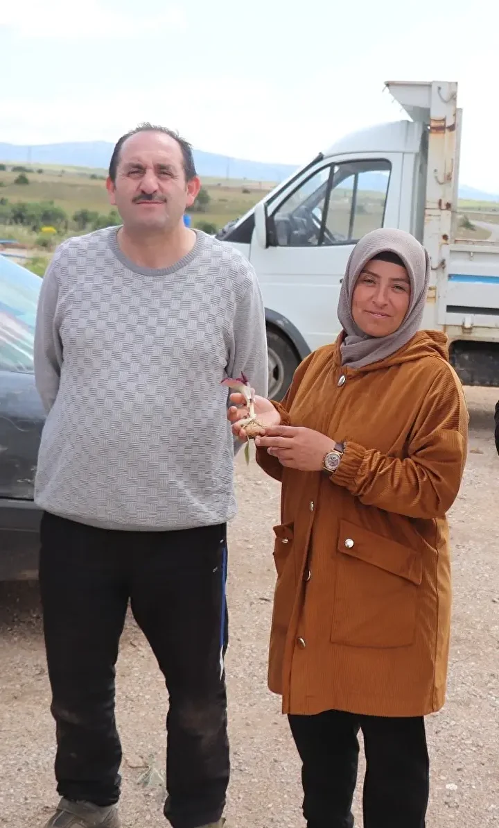 Mantar toplarken zehirli bir çeşidi fark etti dünya tarihine geçti: Bitkiye keşfedenen bayanın ismi verildi 'gulsenianum' 2 mantar toplarken zehirli bir cesidi fark etti dunya tarihine gecti bitkiye kesfedenen bayanin ismi