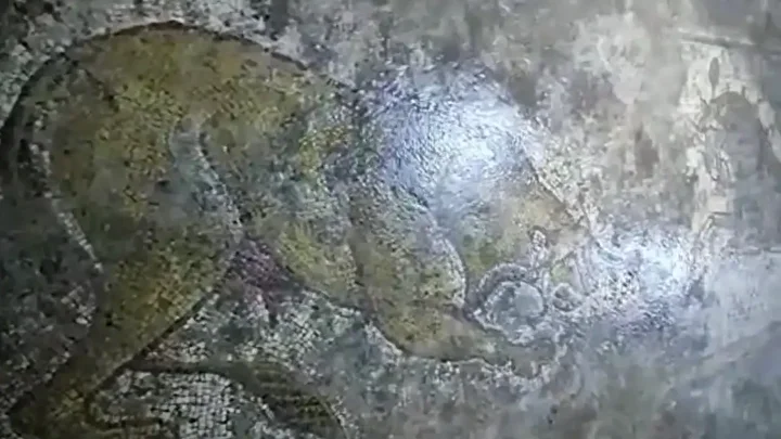 mardinde tarihi eser operasyonu roma devrine iliskin 1500 yillik mozaik ele gecirildi 6 hVhjvDlX