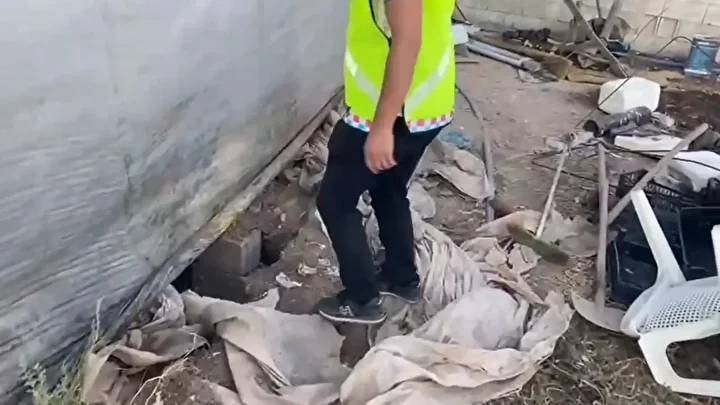 mardinde tarihi eser operasyonu roma devrine iliskin 1500 yillik mozaik ele gecirildi 8