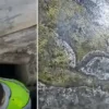 Suriye’nin devrik lideri Esad’ın kuzeni yakalandı mardinde tarihi eser operasyonu roma devrine iliskin 1500 yillik mozaik ele gecirildi tRUzOaHL.webp