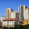 Fethiye’de zeytin hasadı başladı: Hem kaliteli hem de ucuz merkez bankasi acikladi konut fiyatlarindaki artis asik r oldu UCJluhjA.jpg