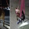 Kassam’dan son dakika esir açıklaması: Teslim edileceği saati duyurdular meskenin daminda mahsur kalan inek vincle kurtarildi FjxrHZsZ.webp
