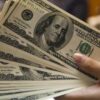 Balkonda hobi olarak başladığı iş ülkenin dört bir yanına yayıldı: Talepler patladı tam 150 bin kişi istedi morgan stanley ve bank of americanin ucuncu ceyrek k rlari beklentiyi asti VZOpmj2M.jpeg