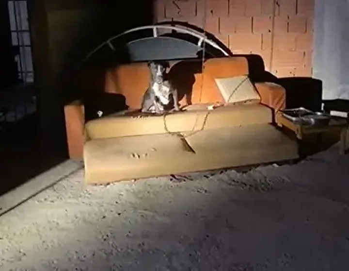 Panik yaşayan mahalle sakinleri konuştu: '3 gün üst üste yangın çıkardı' 1 panik yasayan mahalle sakinleri konustu 3 gun ust uste yangin cikardi 0 Msccjjrf