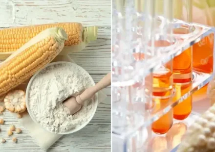 Şeker değil ‘zehir’ tüketiyoruz: Nişastayı yiyeceklerimize kim neden koydu? seker degil zehir tuketiyoruz nisastayi yiyeceklerimize kim neden koydu TQT7UsAN.webp