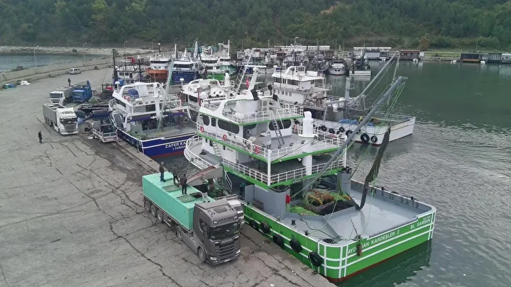 sinop aciklarinda avlanan balikcilar limana tonlarca hamsiyle dondu 1 FTnnOAEB