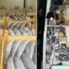 sinopta balikcilar bir gecede 3 bin 200 palamut avladi YYUQQRE3.webp