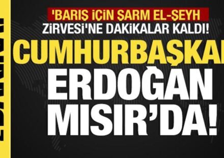son dakikamisirda tarihi zirve baris icin sarm el seyh tepesine dakikalar kaldi svLg13FM.jpg