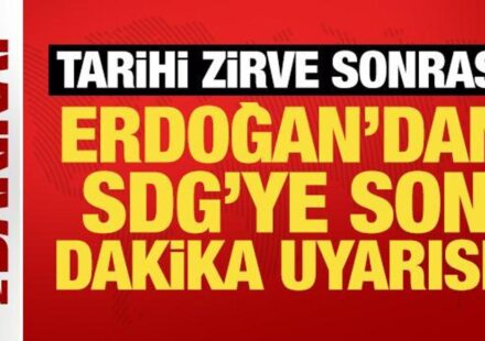Tarihi tepe sonrası Erdoğan’dan SDG’ye son dakika uyarısı! tarihi tepe sonrasi erdogandan sdgye son dakika uyarisi pngrRZ8O.jpg