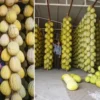 Kanser hastası eşini yatağında uyurken öldürdü! tescilli kirkagac kavunu depolardaki siriklarda kis sofralari icin bekliyor 8spW8q89.webp